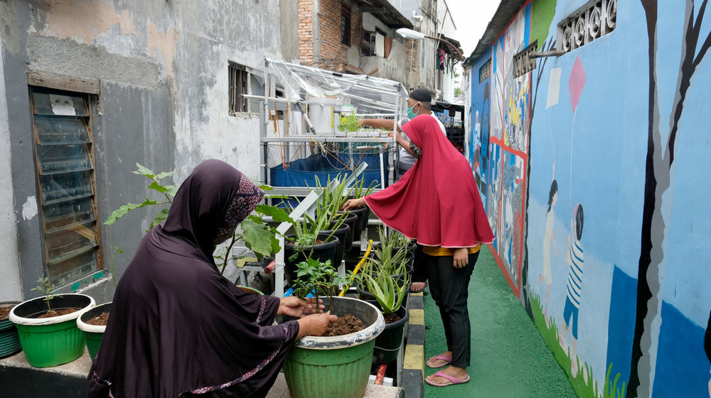 <p>Warga melakukan perawatan tanaman hidroponik di taman Kampung Sehat pemukiman warga RW 6 Kelurahan Utan Kayu Selatan, Matraman, Jakarta Timur, Kamis, 12 November 2020. Foto: Ismail Pohan/TrenAsia</p>

