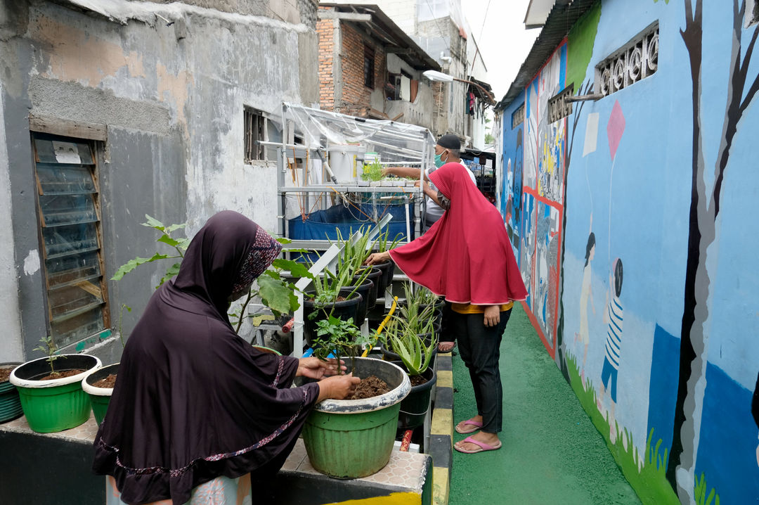 <p>Warga melakukan perawatan tanaman hidroponik di taman Kampung Sehat pemukiman warga RW 6 Kelurahan Utan Kayu Selatan, Matraman, Jakarta Timur, Kamis, 12 November 2020. Foto: Ismail Pohan/TrenAsia</p>
