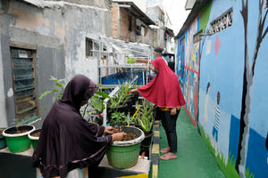 <p>Warga melakukan perawatan tanaman hidroponik di taman Kampung Sehat pemukiman warga RW 6 Kelurahan Utan Kayu Selatan, Matraman, Jakarta Timur, Kamis, 12 November 2020. Foto: Ismail Pohan/TrenAsia</p>
