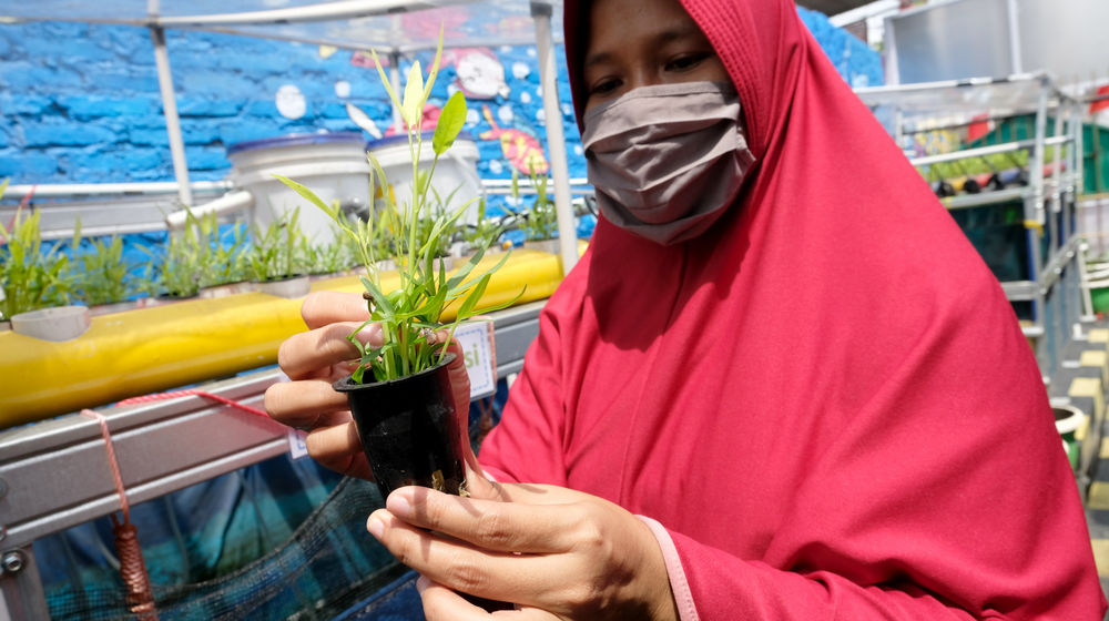 <p>Warga melakukan perawatan tanaman hidroponik di taman Kampung Sehat pemukiman warga RW 6 Kelurahan Utan Kayu Selatan, Matraman, Jakarta Timur, Kamis, 12 November 2020. Foto: Ismail Pohan/TrenAsia</p>
