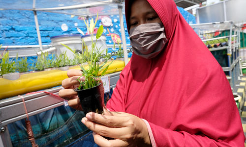 <p>Warga melakukan perawatan tanaman hidroponik di taman Kampung Sehat pemukiman warga RW 6 Kelurahan Utan Kayu Selatan, Matraman, Jakarta Timur, Kamis, 12 November 2020. Foto: Ismail Pohan/TrenAsia</p>
