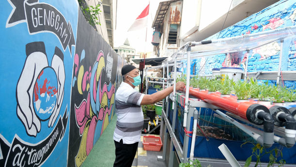 Tanaman Bisa Buat Balkon Rumah Jadi Lebih Estetik Loh