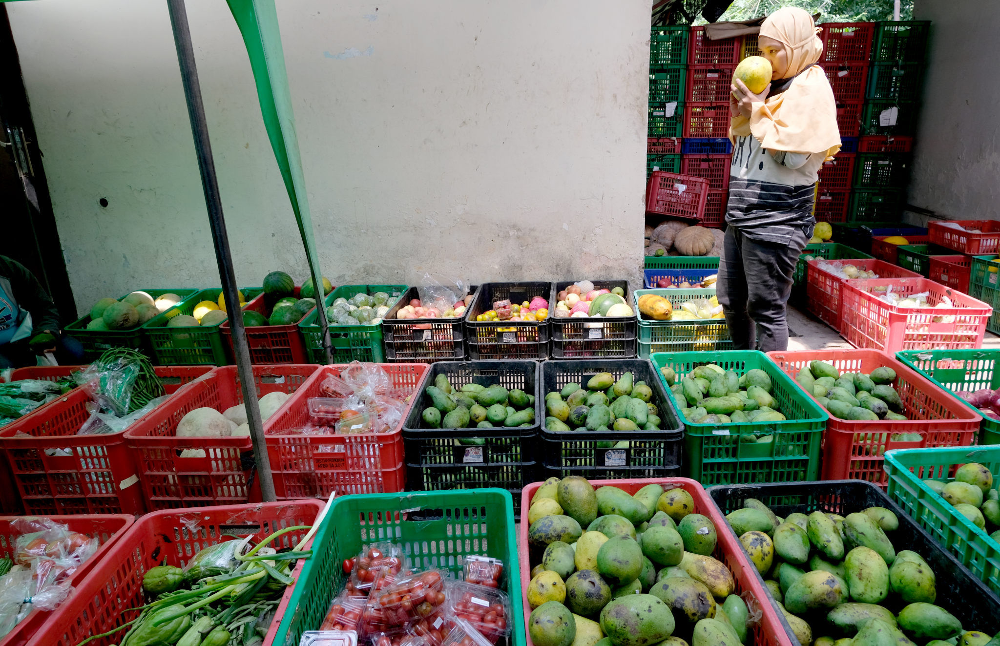 <p>Warga memilih buah-buahan di lapak sayur dan buah hasil sortiran penjual sayur online di kawasan Ragunan, Jakarta, Selasa, 10 November 2020. Foto: Ismail Pohan/TrenAsia</p>
