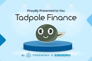 <p>Tadpole Finance</p>
