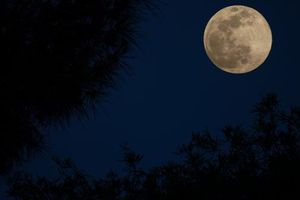 <p>Gerhana bulan penumbra. Dok: www.timeanddate.com.</p>