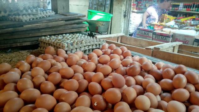 Ilustrasi pedagang telur