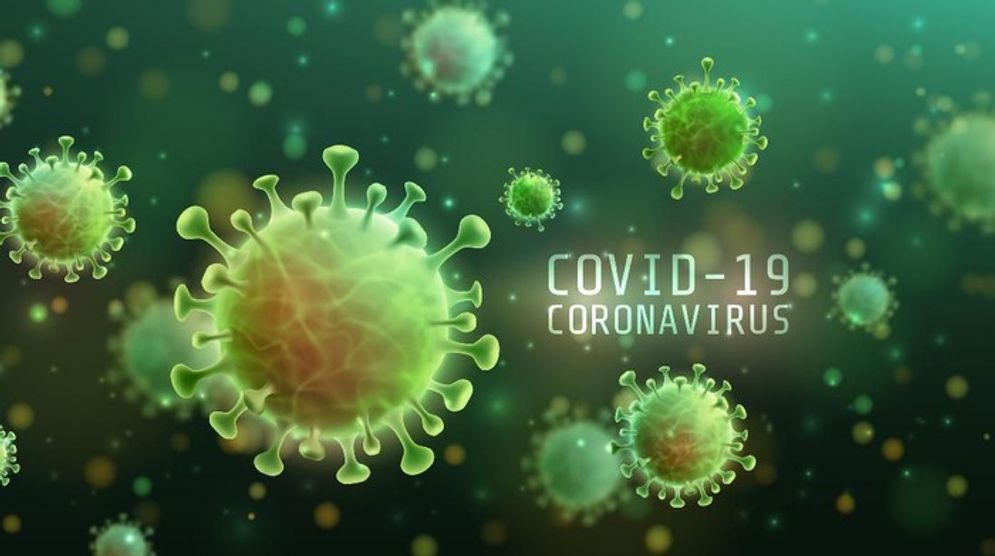 Ilustrasi Corona Virus. Foto: ist