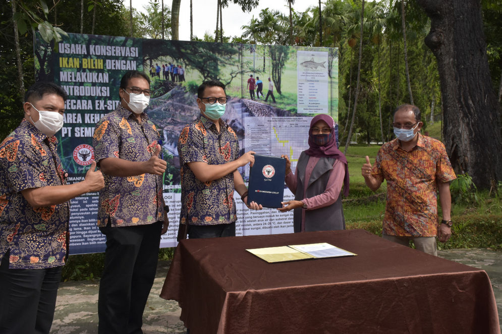 Semen Padang melakukan MoU dengan LPPM UBH Tentang Konservasi Iklan Bilih di Kolam Pemijahan. Foto: ist