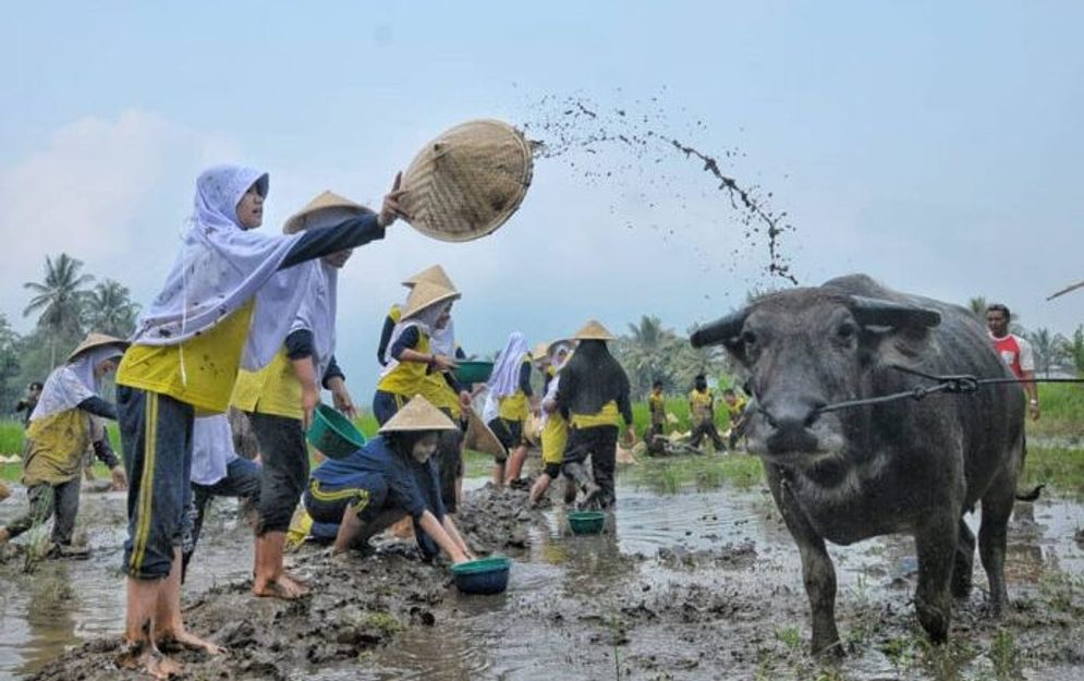 Foto Erison J Kambri (EJK)/sumbar.travel