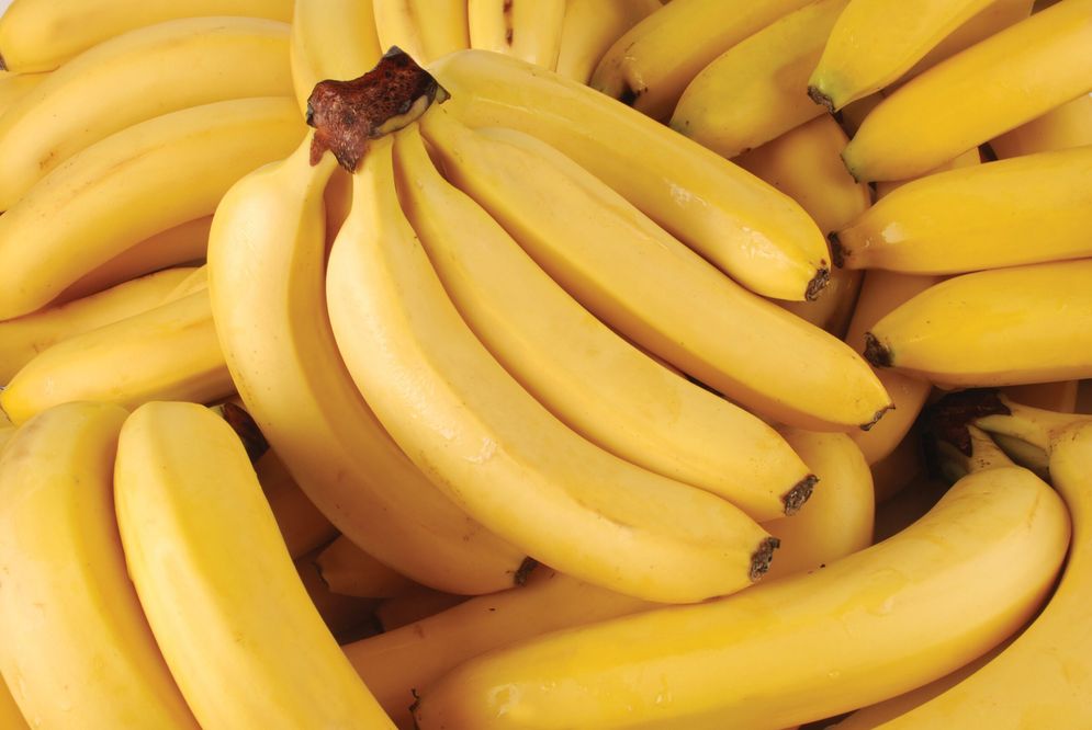 Buah pisang memiliki banyak kandungan yang bermanfaat bagi kesehatan. Termasuk pisang yang masih hijau.