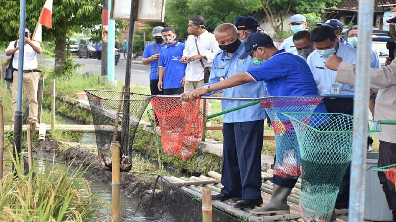 Program Mina Padi