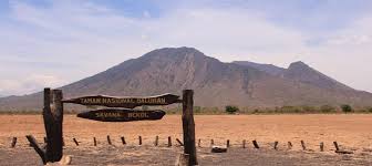Paket Wisata Banyuwangi 1H1M Reguler – Utara - paket wisata banyuwangi, paket tour banyuwangi tourbanyuwangi.com