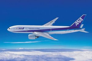 <p>Maskapai penerbangan ANA. Dok: All Nippon Airways/Instagram.</p>
