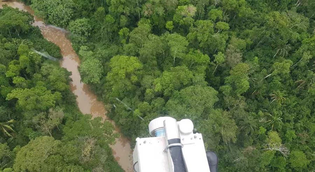 <p>Hutan Amazon/Foto: University of Exeter; Iriarte,</p>
