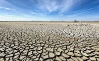 <p>Foto: Scientific American </p>