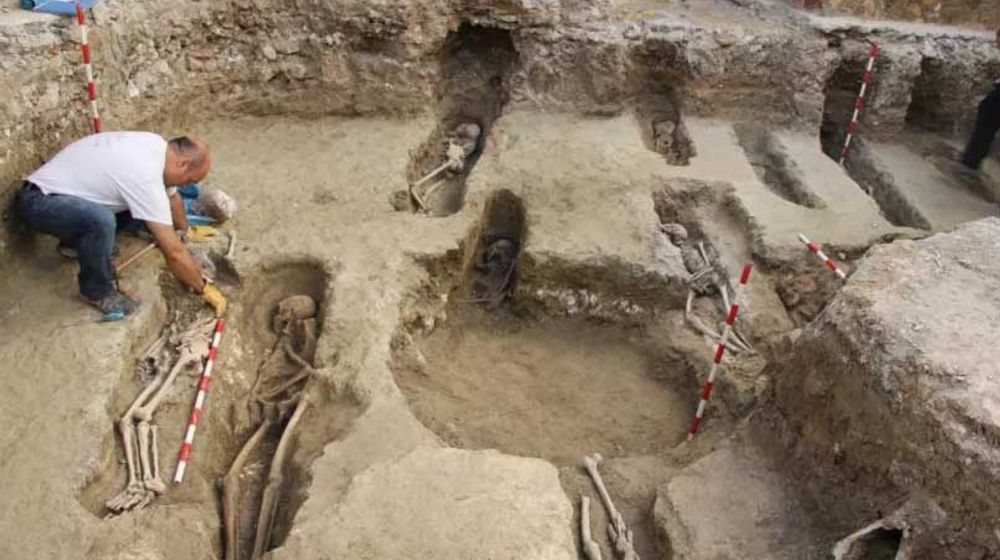 <p>Foto: El Patiaz Cultural Association</p>
