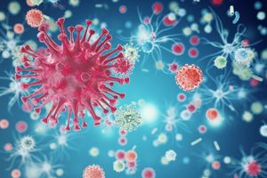 Virus Corona baru ditemukan di Malaysia, diketahui bisa menular dari anjing ke manusia.