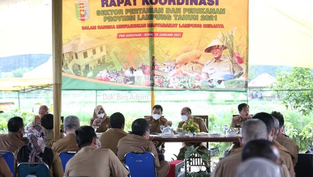 Gubernur: Meski Pandemi, Kinerja Pertanian Lampung Tetap Positif