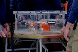 <p>Tampak black box Flight Data Recorder (FDR) kecelakaan pesawat Sriwijaya Air SJ-182 tiba di dermaga JICT 2, Tanjung Priok, Jakarta, Selasa, 12 Januari 2021. Foto: Ismail Pohan/TrenAsia</p>