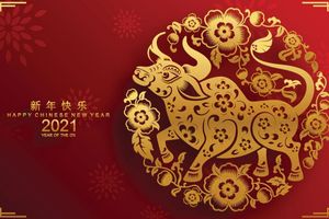 <p>Tahun 2021 adalah Shio Kerbau Logam / id.pinterest.com</p>
