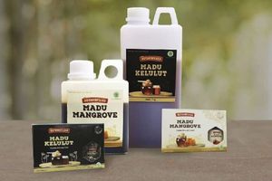 <p>Ilustrasi madu kelulut dari Kalimantan Barat / Facebook @pesonakalbarhijau</p>