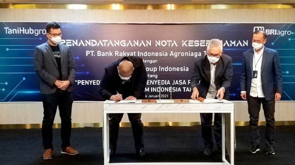 <p>BRI Agro menandatangani Nota Kesepahaman dengan salah satu perusahaan agritech yaitu TaniHub Group. Perjanjian kerja sama ini ditandatangani oleh Ebeneser Girsang selaku Direktur Utama BRI Agro dan Ivan Aris Sustiawan selaku CEO TaniHub Group. Penandatanganan disaksikan oleh Indra Utoyo selaku Direktur Teknologi Informasi dan Operasi BRI (kanan) dan Pamitra Wineka selalu President TaniHub Group (kiri). / Dok. TaniHub</p>

