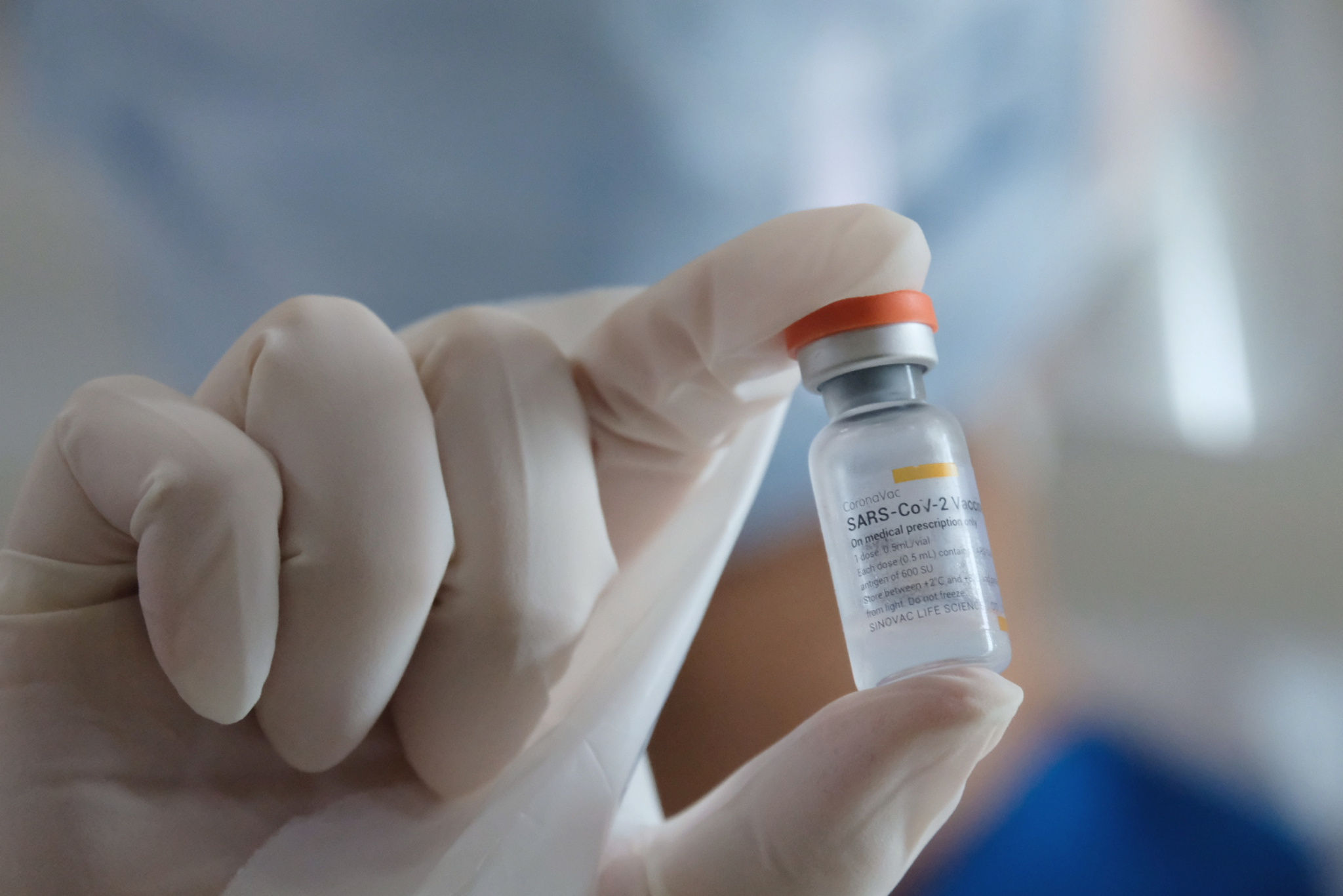 <p>Petugas medis menunjukkan vaksin COVID-19 produksi Sinovac sebelum dilakukan penyuntikan kepada tenaga kesehatan di RS Siloam TB Simatupang, Jakarta, Kamis, 14 Januari 2021.Foto: Ismail Pohan/TrenAsia</p>
