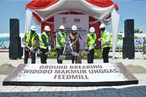 <p>Peternakan ayam PT Widodo Makmur Unggas Tbk / Dok. Perseroan</p>
