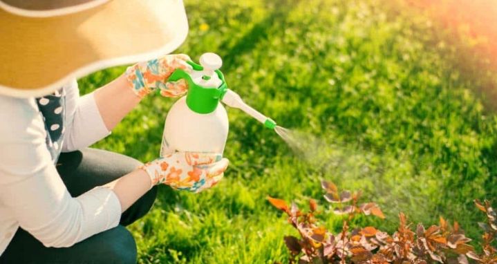 Ilustrasi urban farming