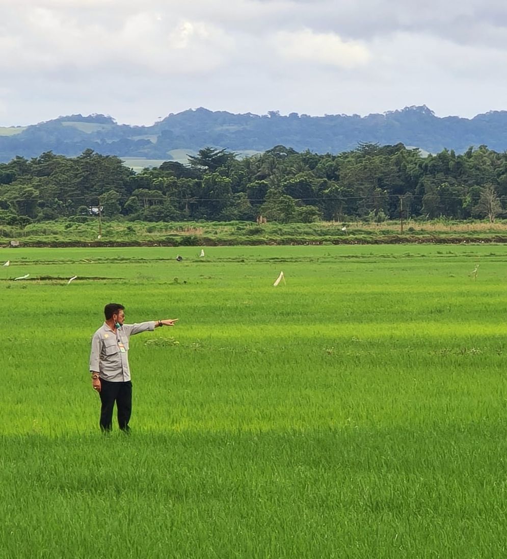 Lahan pertanian