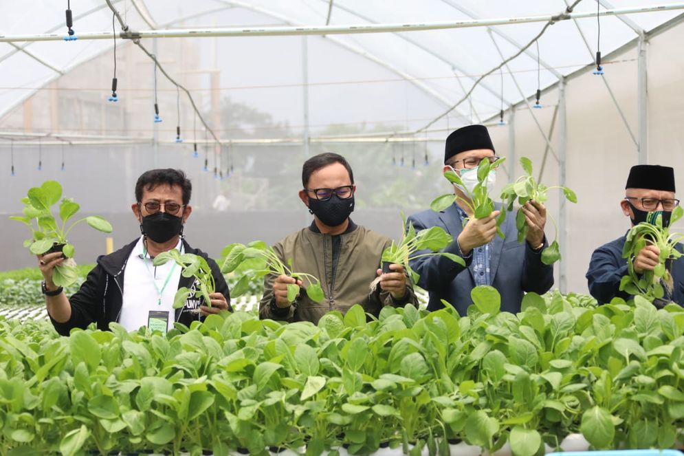 Mentan SYL Panen raya bayam greenhouse Ponpes Al Ghazali Bogor