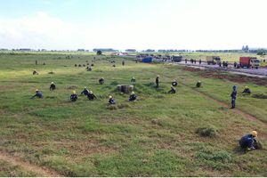 <p>Setelah menyelesaikan pembebasan lahan, PT Pertamina (Persero) akan melanjutkan proses pembersihan lahan atau land clearing untuk proyek Grass Root Refinery Tuban (GRR Tuban) pada Maret 2021. / Perseroan</p>
