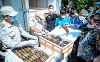 Ekspor kepiting bakau melalui Bandara SAMS Sepinggan Balikpapan