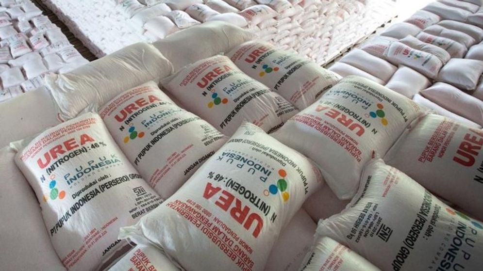 Pupuk urea