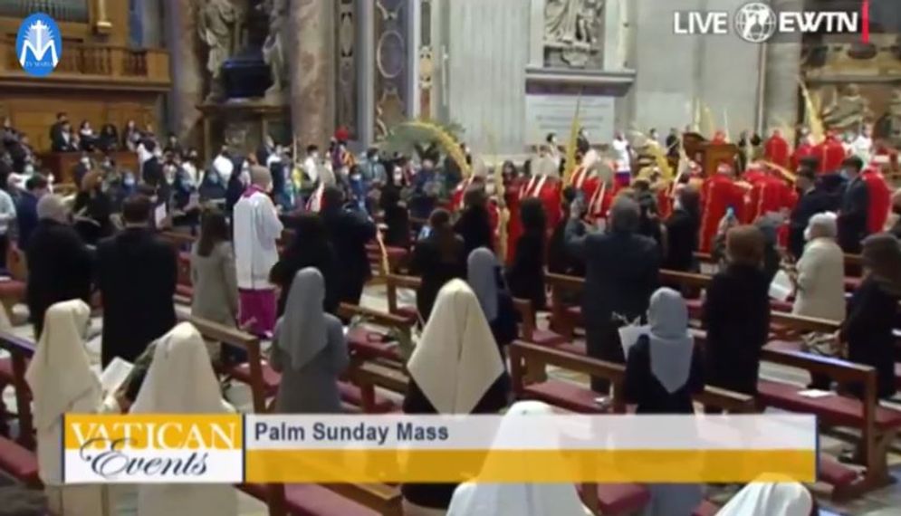 palm sunday vatican.JPG