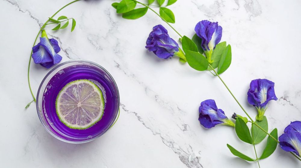 Selain Mudah Ditanam, Ternyata Bunga Telang Bisa jadi Obat Herbal Alami