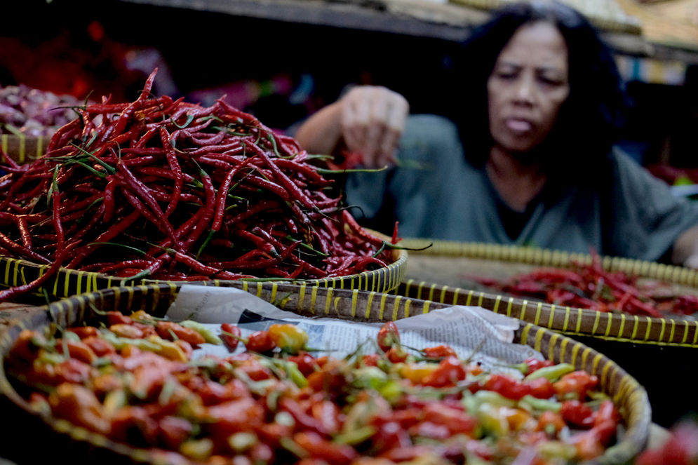 Pemerintah Minta Pemda Perhatikan Harga Cabai