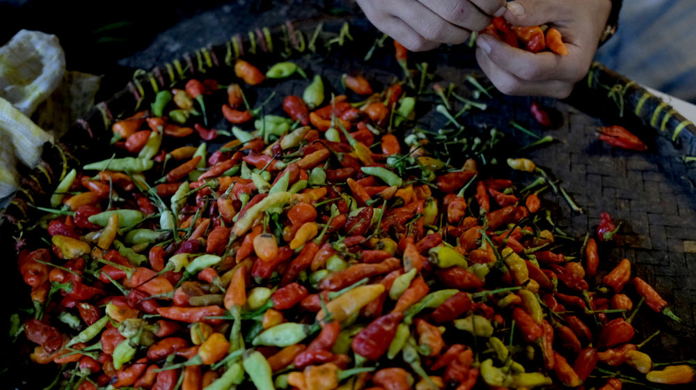 <p>Pedagang memilah cabai di kiosnya di Pasar Warung Buncit, Jakarta Selatan, Selasa, 9 Maret 2021. Foto: Ismail Pohan/TrenAsia</p>
