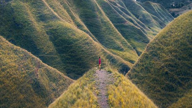 Bukit Savana Hiliwuku,  Pesonanya  Pasti Akan Jadi Memori Yang Tak Terlupakan