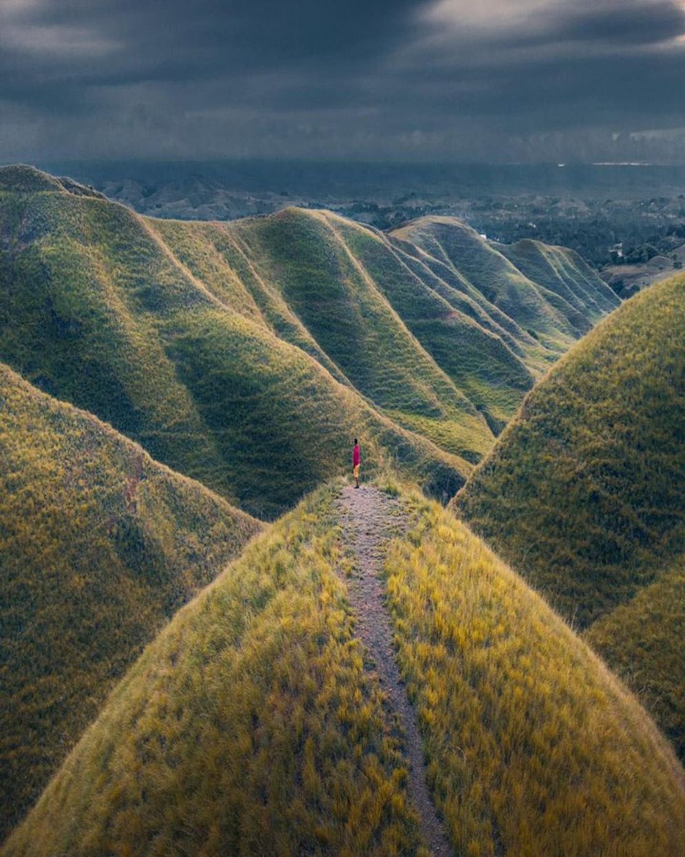 Bukit di sumba.jpg