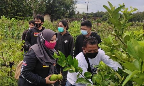 ngawi 1 ok.jpg