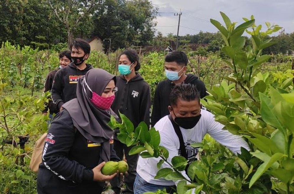 ngawi 1 ok.jpg