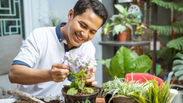 Hidup Kembali, 6 Langkah Menyelamatkan Tanaman yang Hampir Mati