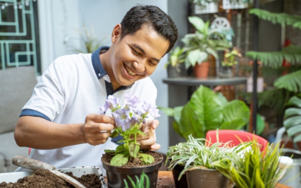 Ilustrasi merawat tanaman.