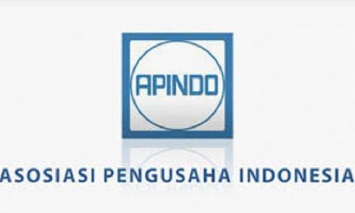 Logo APINDO.