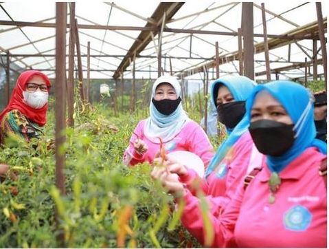 P4S Dorong Peningkatan Produktivitas dan Pengembangan Pertanian