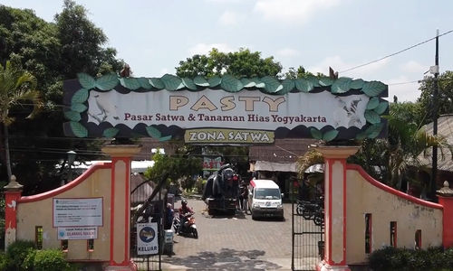 pentas kawasan.PNG