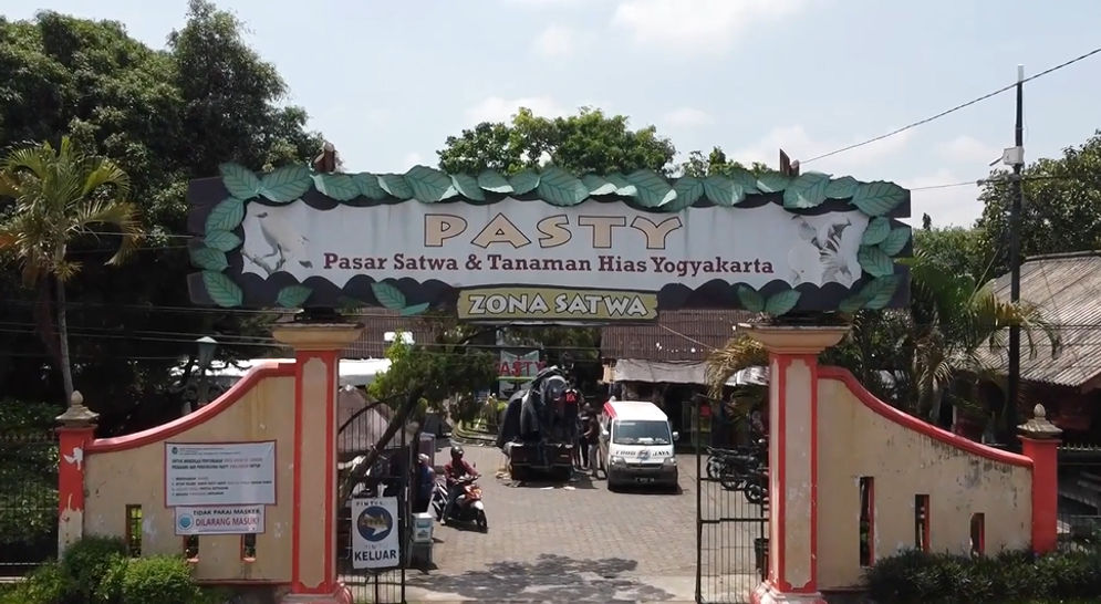 pentas kawasan.PNG
