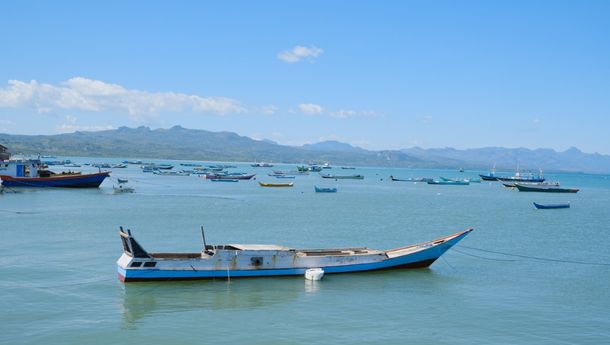 Badai Seroja NTT Rugikan  Pembudidaya  Rumput Laut dan Perikanan Tangkap  Rp7 Miliar