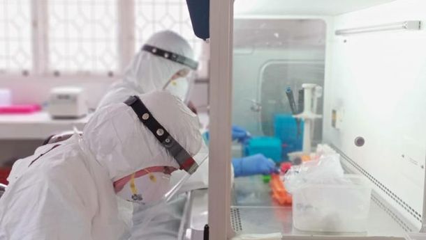 FAO ECTAD: Dokter Hewan Mainkan Peran Penting di Masa Pandemi Covid-19